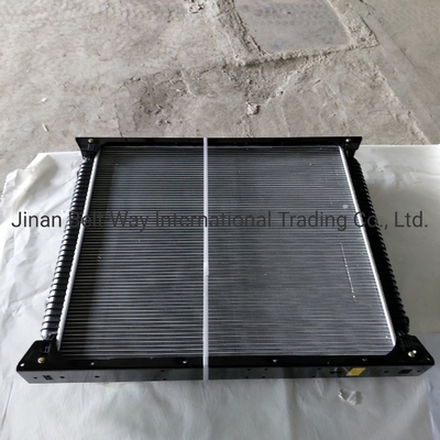 Sinotruk HOWO Truck Parts Radiator Wg9719530270 Wg9725530011 Contact for Shipping Cost