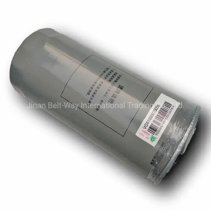 Sinotruk Engine Filter Jx0818 Oil Filter VG61000070005 for HOWO Truck