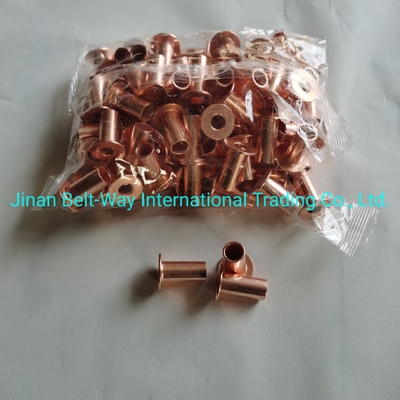 Sinotruk HOWO Truck Parts Brake Lining Rivet Wg9231340068 Standard and Durable 10*22mm