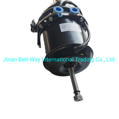 Sinotruk HOWO Truck Parts Brake Chamber Wg9000360601 Battery for Electrical System