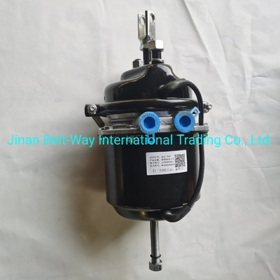 Sinotruk HOWO Truck Parts Brake Chamber Wg9000360601 Battery for Electrical System