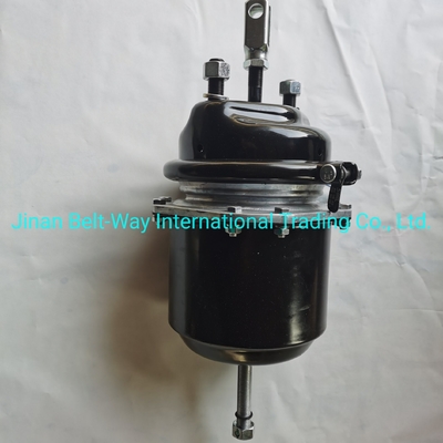 Sinotruk HOWO Truck Parts Brake Chamber Wg9000360601 Battery for Electrical System