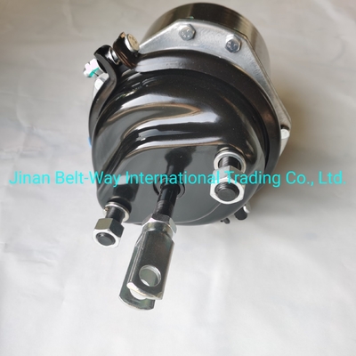 Sinotruk HOWO Truck Parts Brake Chamber Wg9000360601 Battery for Electrical System