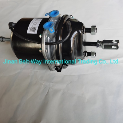 Sinotruk HOWO Truck Parts Brake Chamber Wg9000360601 Battery for Electrical System