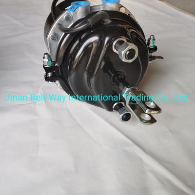 Sinotruk HOWO Truck Parts Brake Chamber Wg9000360601 Battery for Electrical System