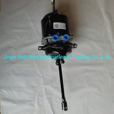 Sinotruk HOWO Truck Parts Brake Chamber Wg9000360600 in Black for Standard Trucks