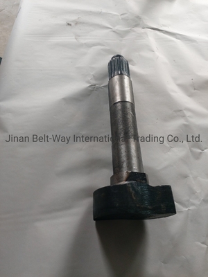Sinotruk HOWO Truck Spare Parts Brake Camshaft Wg9100440002 Wg9100440001 for Gearbox