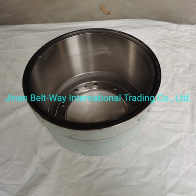 Electrical System Parts Battery for Sinotruk HOWO Truck Brake Drum Wg9231342006 Durable