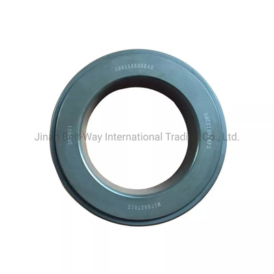Sinotruk HOWO Shacman Balance Shaft Thrust Bearing 199114520042 for Truck/Marine Engines