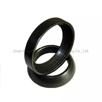 Electrical System Parts Shacman Truck Spare Parts Balance Shaft Bearing 199114520042