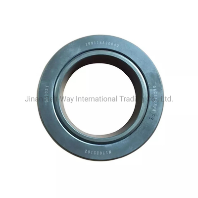 Genuine Shacman Sinotruk Heavy Truck Part Battery Balance Shaft Bearing 199114520042