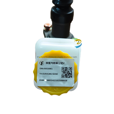 South Asia Market Clutch Master Cylinder Dz93189230090 for Shacman F3000/F2000/M3000 Truck