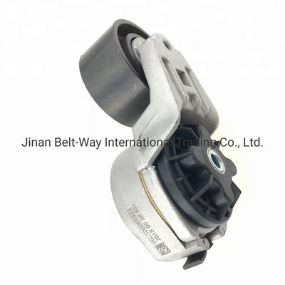 Custom Made Sinotruk HOWO Wechai Engine Tensioner Pulley Vg2600060313 for All Markets