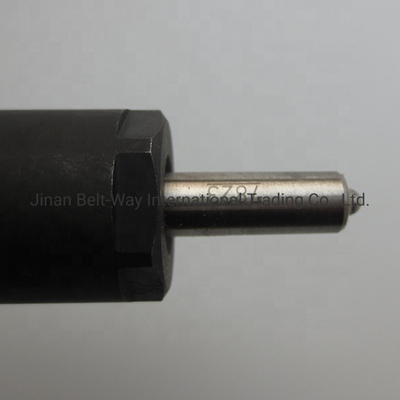 CE Certified Fuel Injector for Engine Part VG1246080036