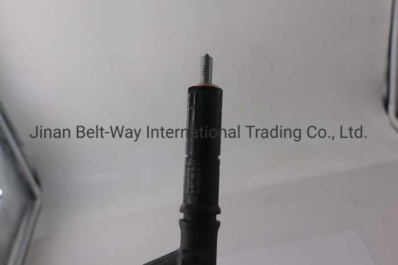 Vg1246080036TwarrantyT1 Years Sinotruk HOWO 70 Engine Fuel Injector for T1 and OEM