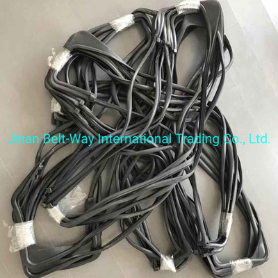 Sinotruk HOWO Truck L Glass Sealing Wg1642350001 Wg1642350002s for Transmission System