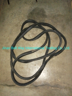 Sinotruk HOWO Truck Parts Windshield Sealing Rubber Wg1642710002 Standard Competitive