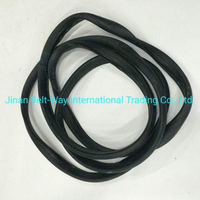 Sinotruk HOWO Truck Parts Windshield Sealing Rubber Wg1642710002 Standard Competitive