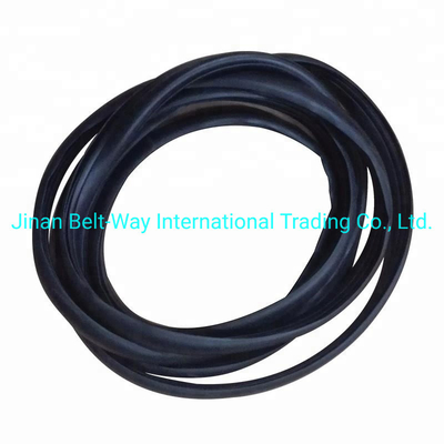 Sinotruk HOWO Truck Parts Windshield Sealing Rubber Wg1642710002 Standard Competitive