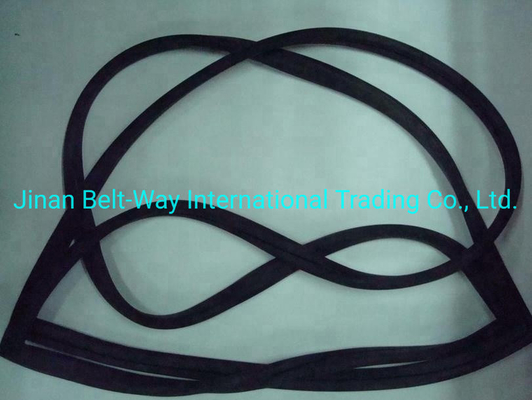 Sinotruk HOWO Truck Parts Windshield Sealing Rubber Wg1642710002 Standard Competitive