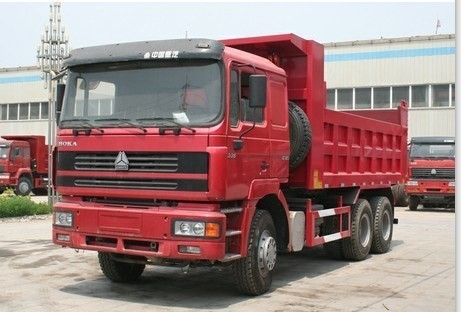 Radial Tire Design 371HP HOWO Tipper Truck for ≤5 Seats from Sinotruk