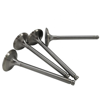 Custom Automobile Valves Intake and Exhaust Valves from Custom with Secure Payments