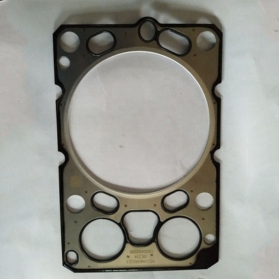 0.300kg Gross Weight Vg1246040021 Cylinder Head Gasket for Sinotruk HOWO Engine Parts