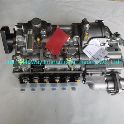 Sinotruk HOWO Truck Parts Fuel Injection Pump Vg1560080021 with USD Payment Support