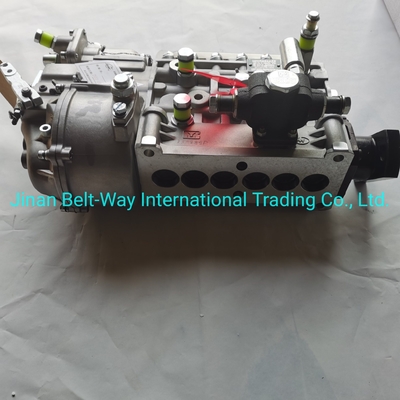 Sinotruk HOWO Truck Parts Fuel Injection Pump Vg1560080021 with USD Payment Support