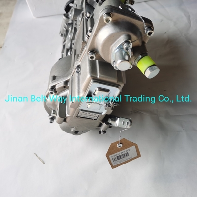 Sinotruk HOWO Truck Parts Fuel Injection Pump Vg1560080021 with USD Payment Support