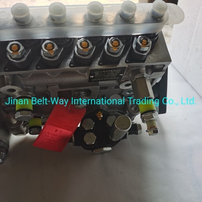 Sinotruk HOWO Truck Parts Fuel Injection Pump Vg1560080021 with USD Payment Support