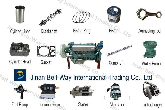 Steering System Parts for Shacman Sinotruk HOWO Engine Filter Spare Parts at Affordable