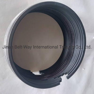 Sinotruk HOWO Parts Truck Spare Parts Vg1560030040 Piston Ring for Transmission System