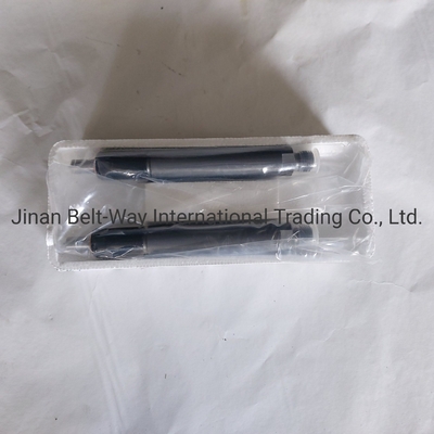 Sinotruk HOWO Truck Parts Fuel Injector Vg1560080276 for Front Axle Driving System