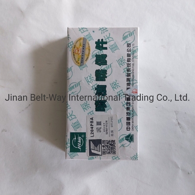 Sinotruk HOWO Parts Truck Spare Parts Injector Nozzle L204pba for Claiming a Refund