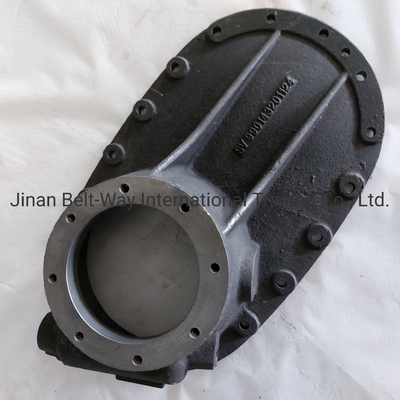 Sinotruk HOWO Truck Parts Truck Spare Parts Bridge Box Cover 990143201124 Standard