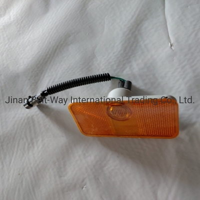Sinotruk HOWO Truck Parts Side-Marker Lamp Wg9100720012/2 Excellent Functionality