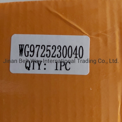 Brake System Parts Wg9725230040 Clutch Booster Cylinder for Sinotruk HOWO Truck OEM