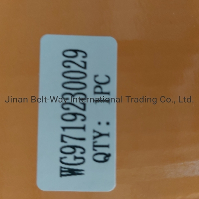 Sinotruk HOWO Truck Parts Clutch Booster Cylinder Wg9719230029 Perfect for Your Truck