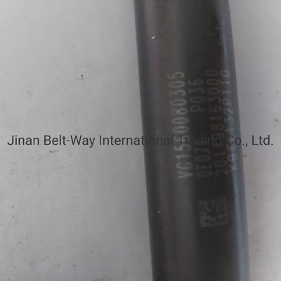 Fuel Injector Vg1560080305 Contact for Shipping Cost to Buy Sinotruk HOWO Truck Parts