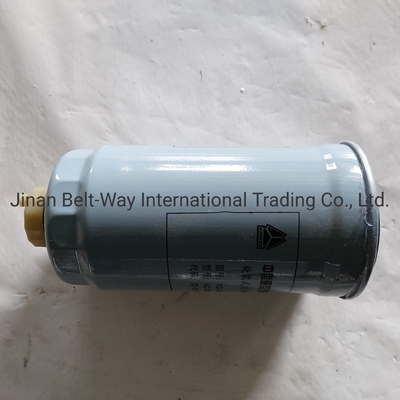 Sinotruk HOWO Truck Parts Truck Spare Parts Fuel Filters Vg14080740A with Black Color