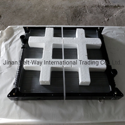 Sinotruk HOWO Truck Parts Radiator Wg9719530270 Wg9725530011 Contact for Shipping Cost