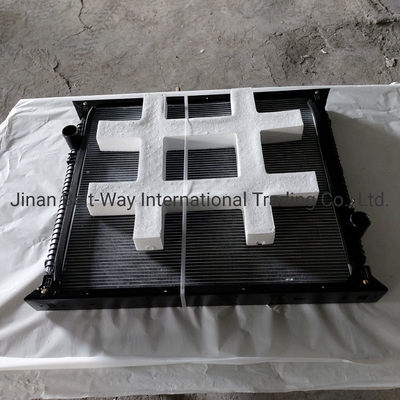 Sinotruk HOWO Truck Parts Radiator Wg9719530270 Wg9725530011 Contact for Shipping Cost