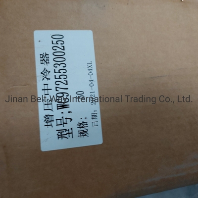 Sinotruk HOWO Truck Spare Parts Supercharged Intercooler Wg97255300250 Wg9725530020