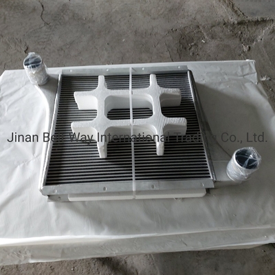 Sinotruk HOWO Truck Spare Parts Supercharged Intercooler Wg97255300250 Wg9725530020