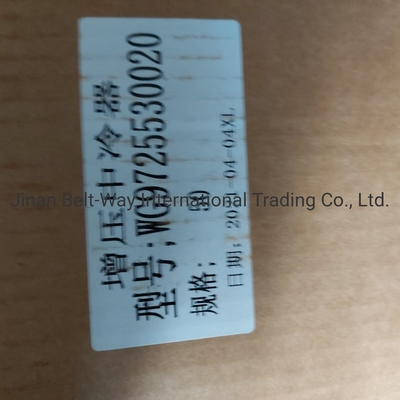 Sinotruk HOWO Truck Spare Parts Supercharged Intercooler Wg97255300250 Wg9725530020