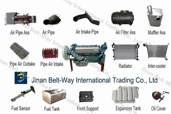 Spare Parts for Shacman Sinotruk HOWO Foton FAW Wechai Engine Truck Filter and Tested
