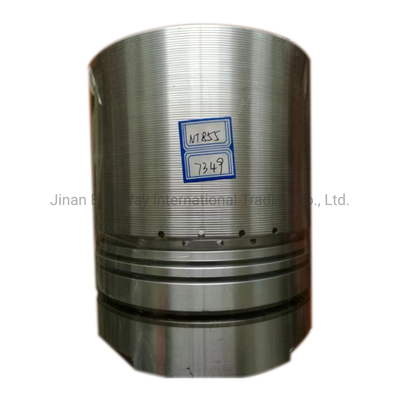 3017349 Marine Engine Diesel Engine Nt855 Generator Spare Parts Piston with Online Support