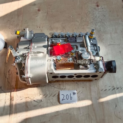 Applicable Truck HOWO 371/Shacman F3000/F2000/M3000 Engine Fuel Injector Pump Vg1560080022