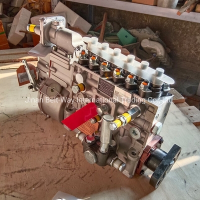 Applicable Truck HOWO 371/Shacman F3000/F2000/M3000 Engine Fuel Injector Pump Vg1560080022